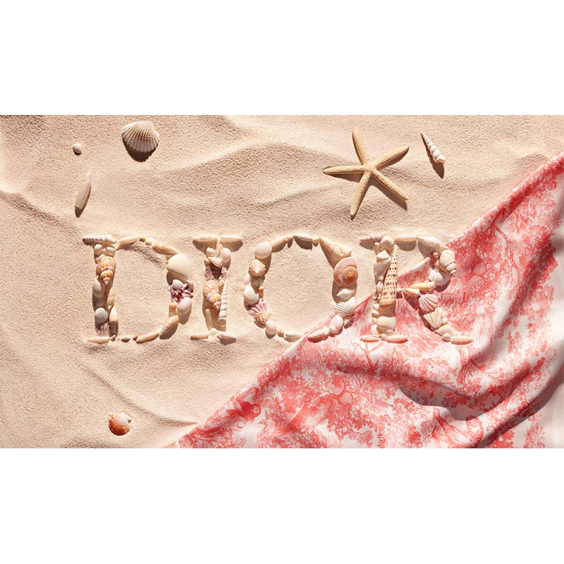 Dior Summer Pouch
