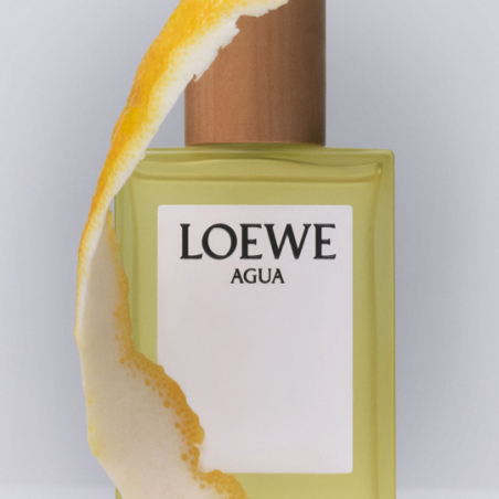 LOEWE AGUA EDT