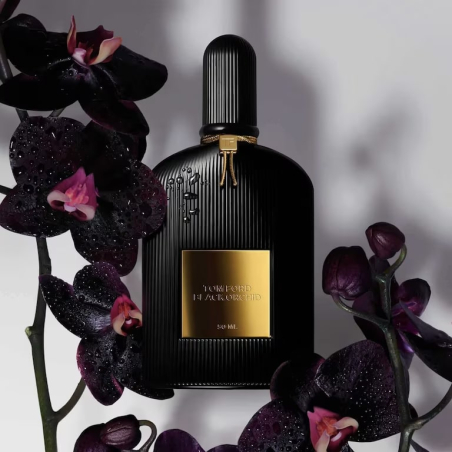 Set Black Orchid Eau de Parfum