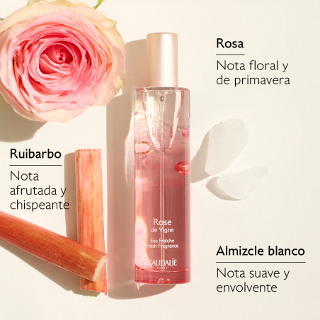 Set  Agua Fresca Rose de Vigne