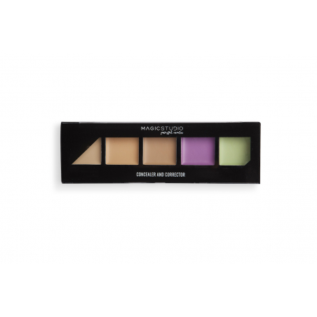 MS CORRECTOR PALETTE